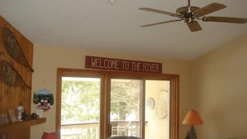 Smart TV, fireplace, DVD player, books