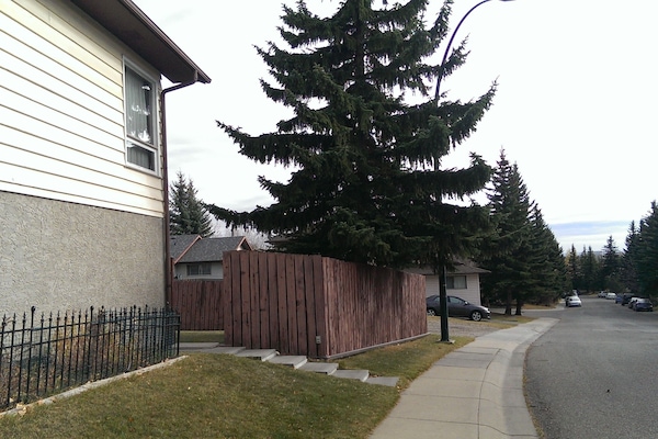 Backyard entry, parking available along the street beside the house.
