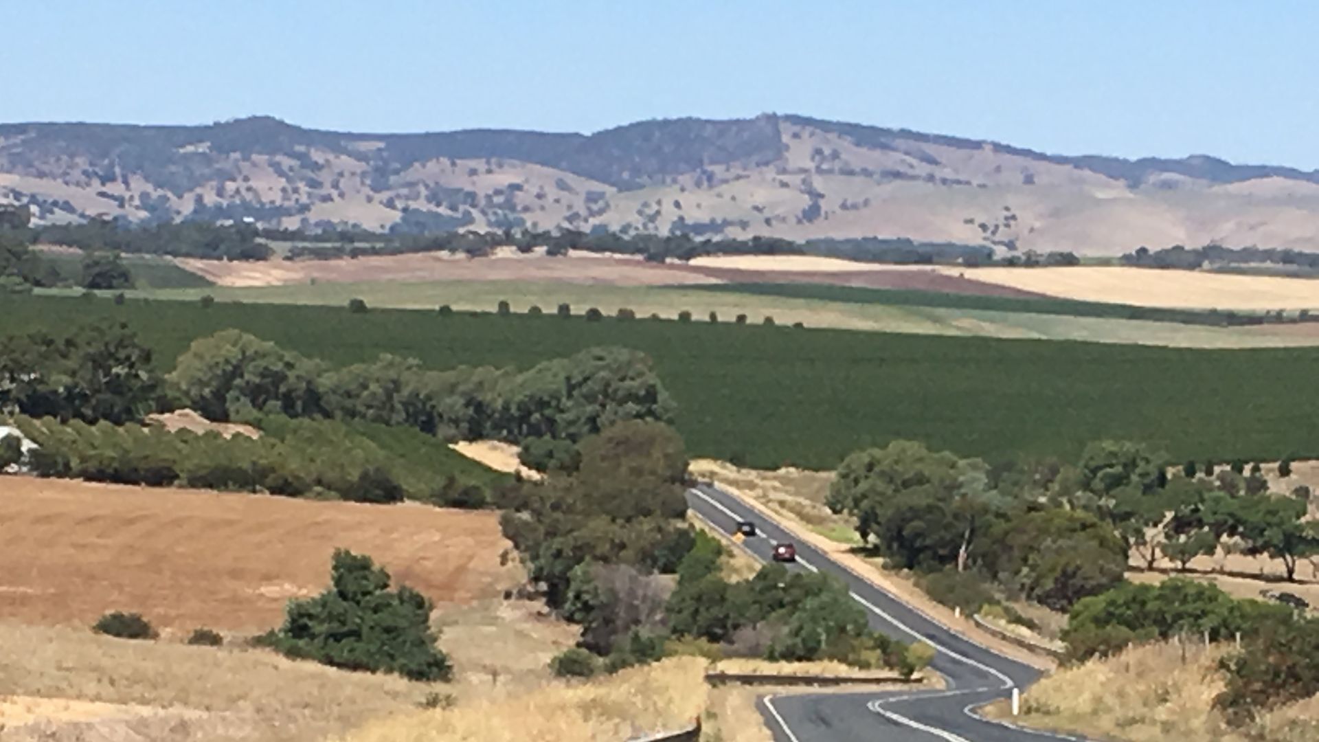 Bluebird Cottage Barossa escape — image 21