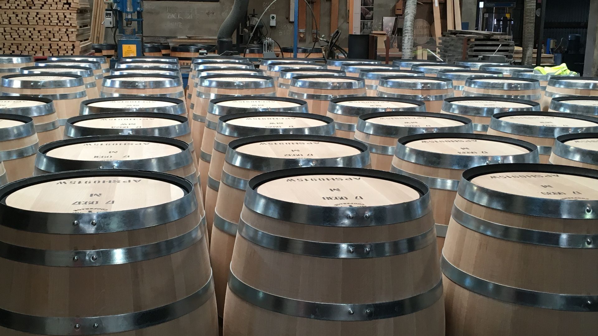 Bluebird Cottage Barossa escape — image 19