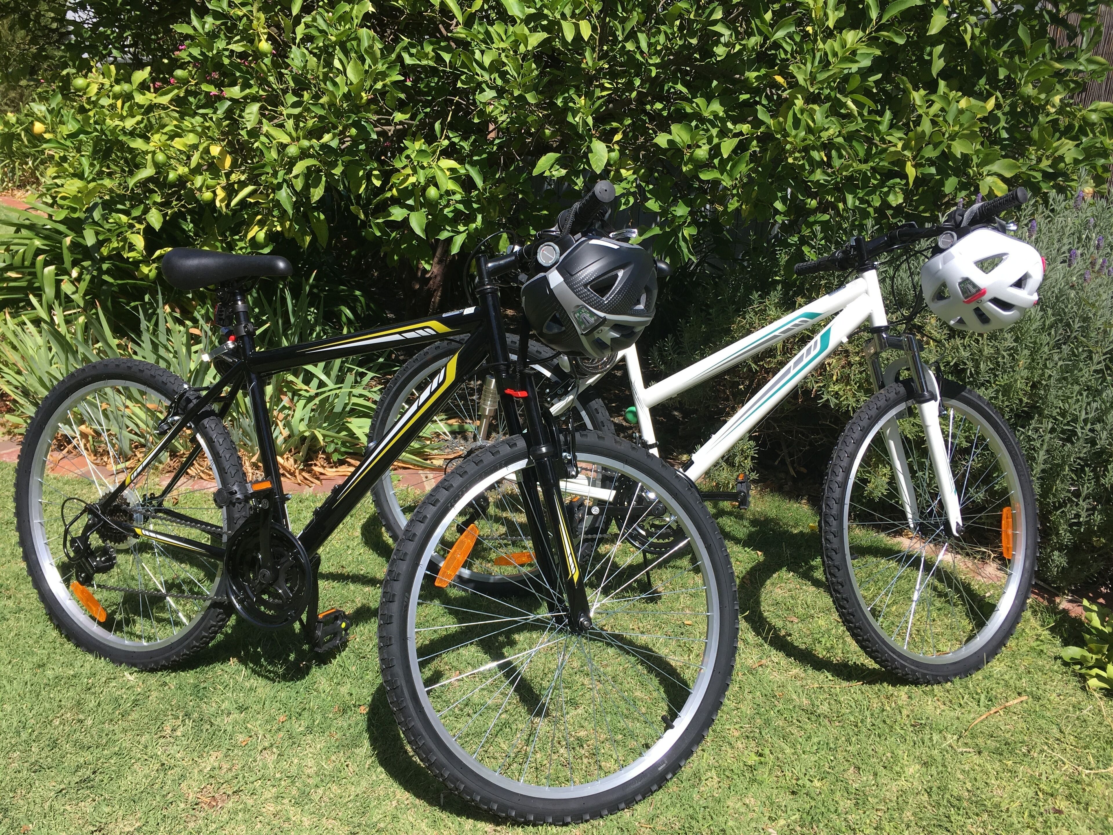 Bluebird Cottage Barossa escape — image 24