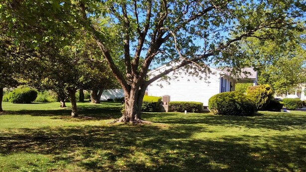 Un barrio residencial con un gran árbol en primer plano, una casa blanca con un equipo de aire acondicionado visible y céspedes bien cuidados.