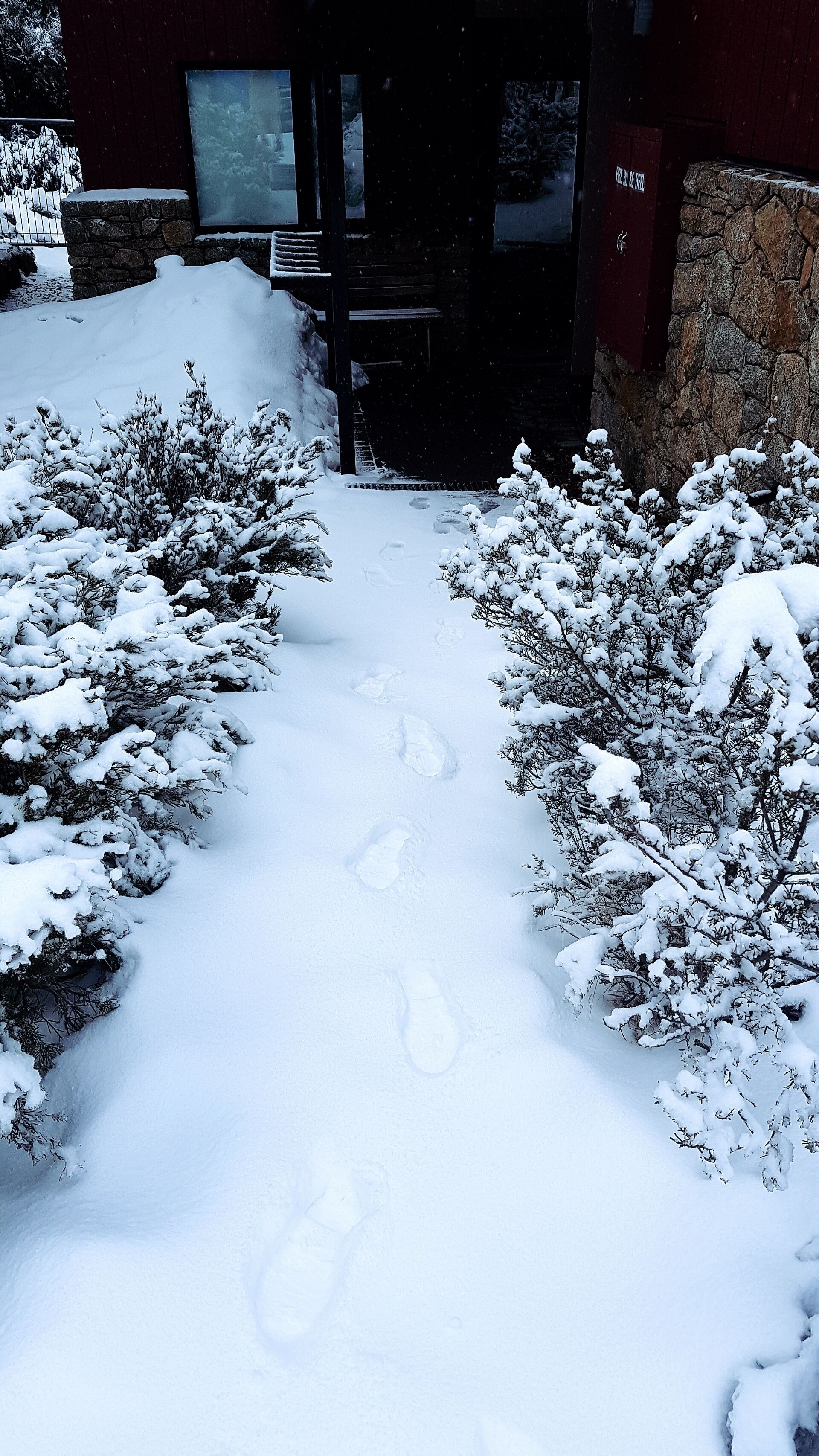 ☃️ANGALA 3 THREDBO CLOSEST APARTMENT TO LIFTS — image 16