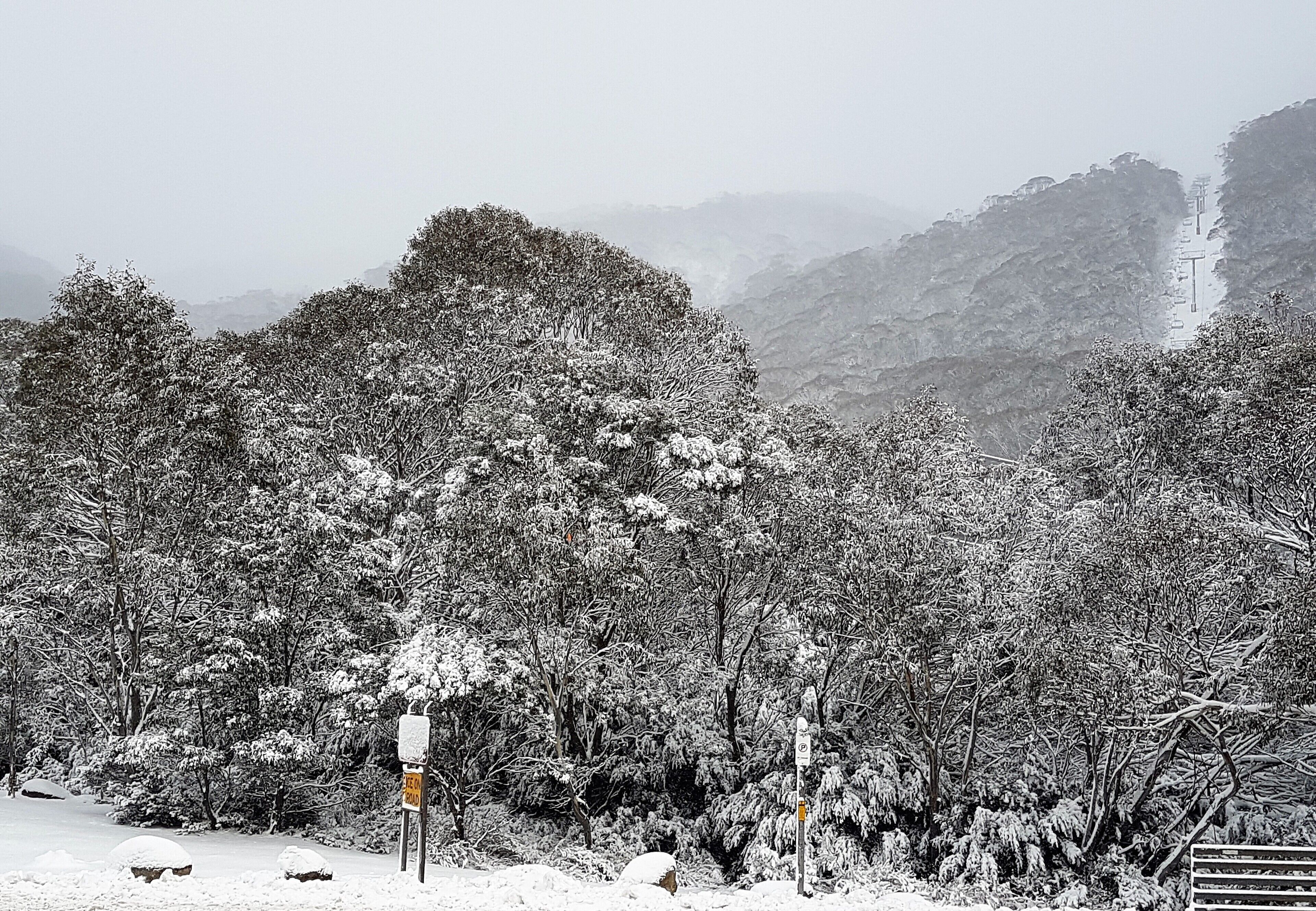 ☃️ANGALA 3 THREDBO CLOSEST APARTMENT TO LIFTS — image 21