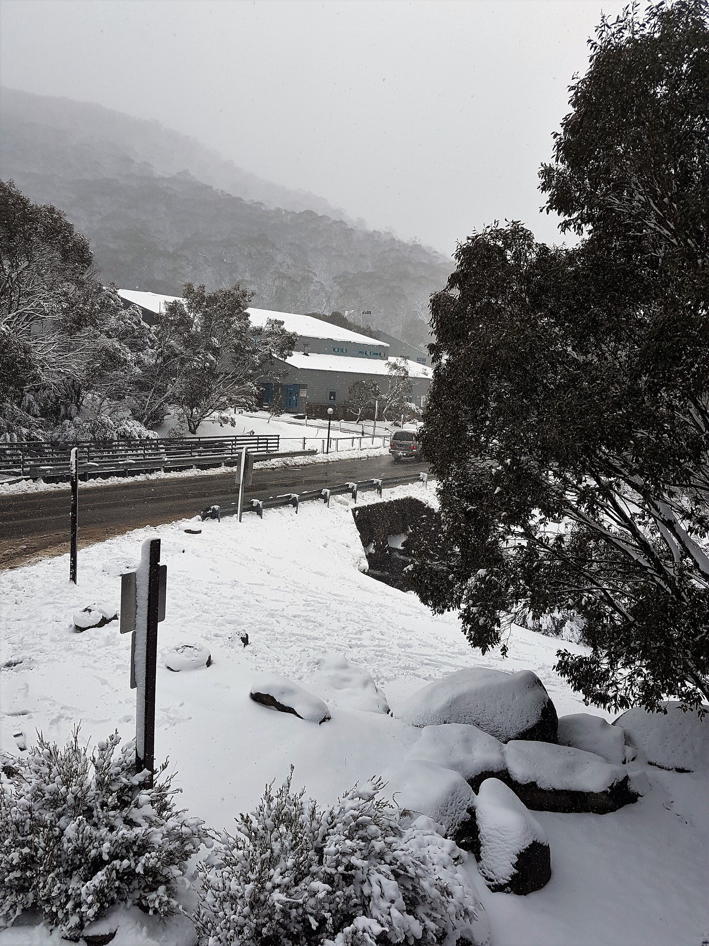 ☃️ANGALA 3 THREDBO CLOSEST APARTMENT TO LIFTS — image 22