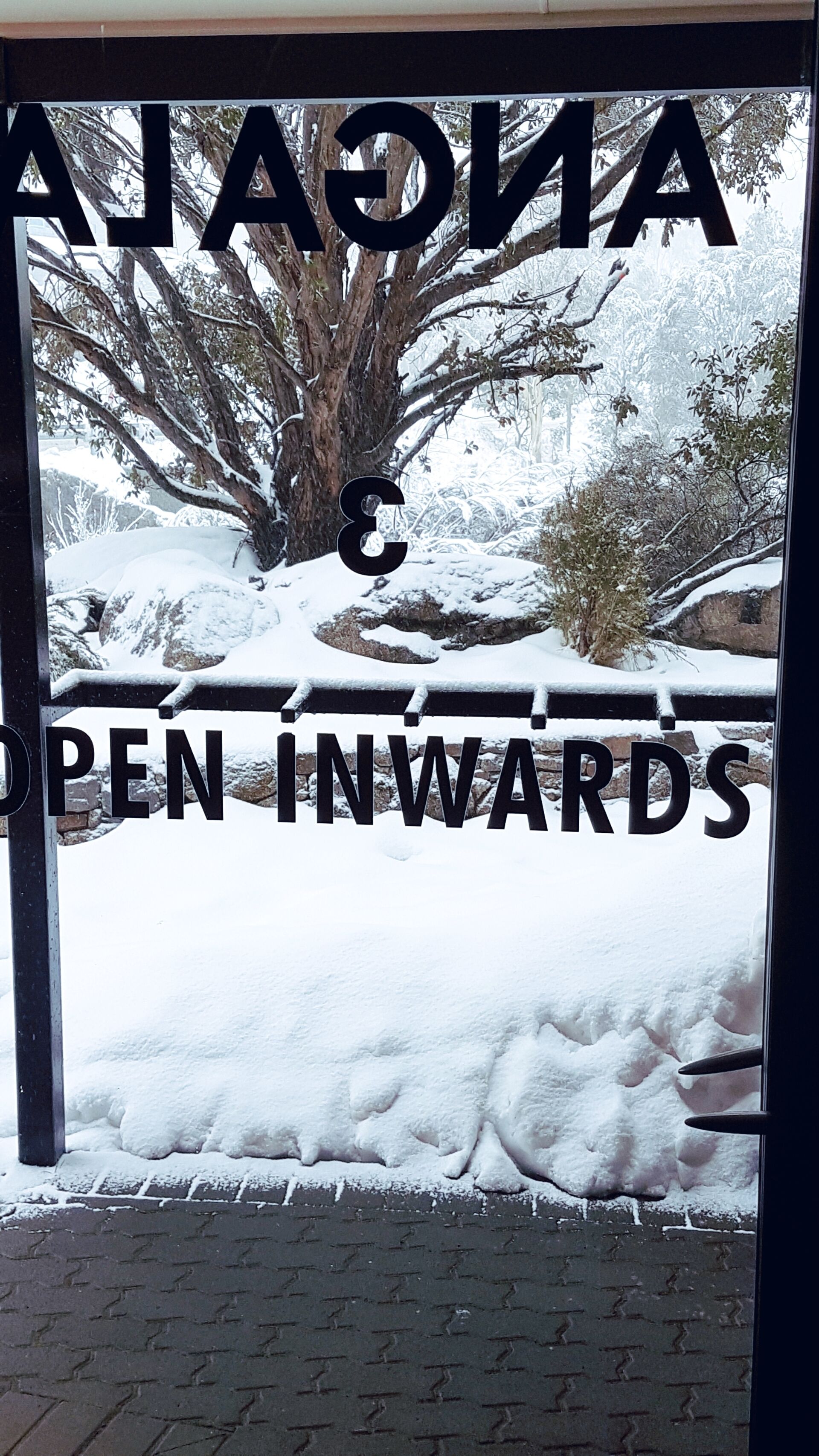 ☃️ANGALA 3 THREDBO CLOSEST APARTMENT TO LIFTS — image 17