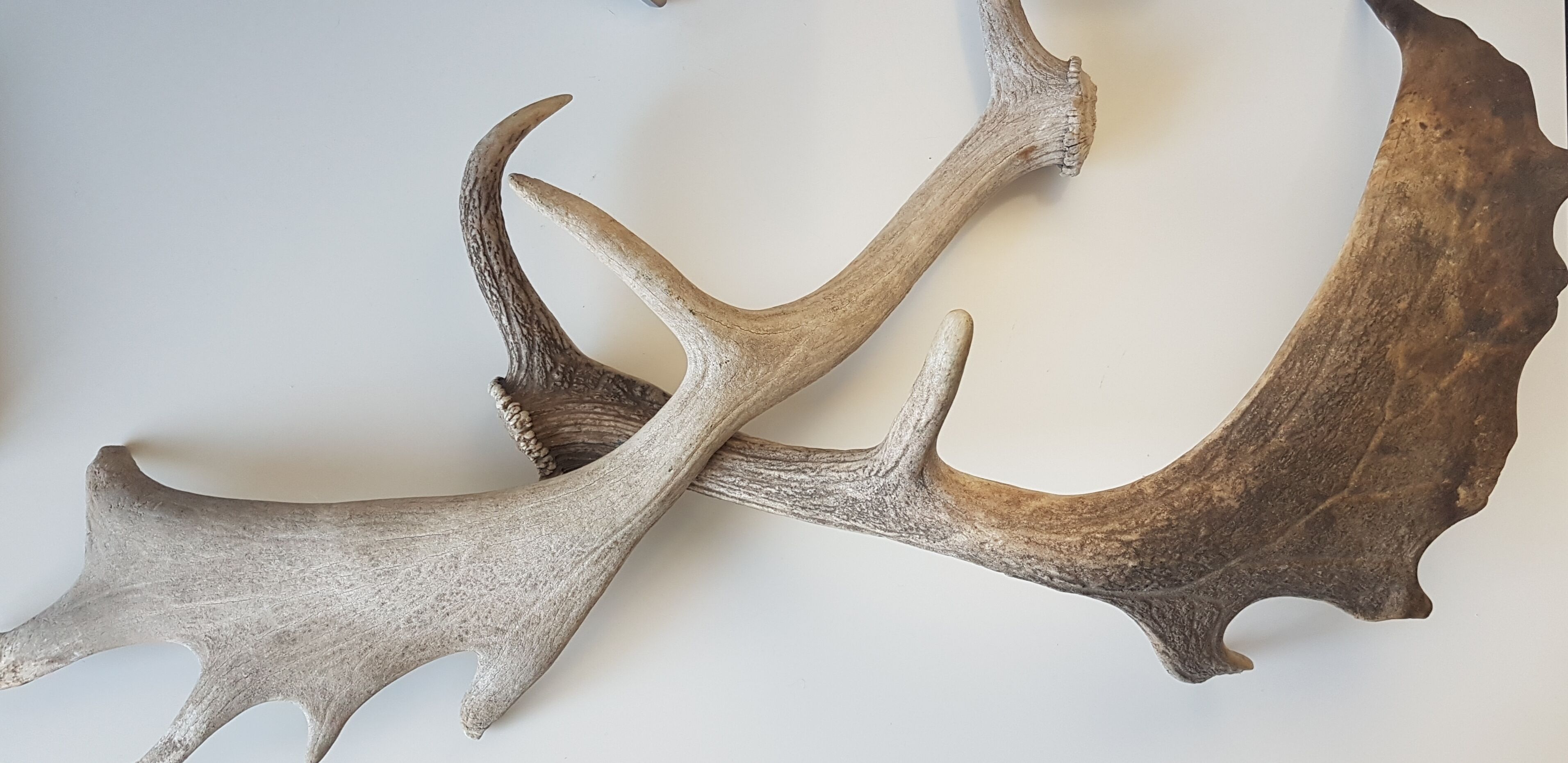 ☃️ANGALA 3 THREDBO CLOSEST APARTMENT TO LIFTS — image 26