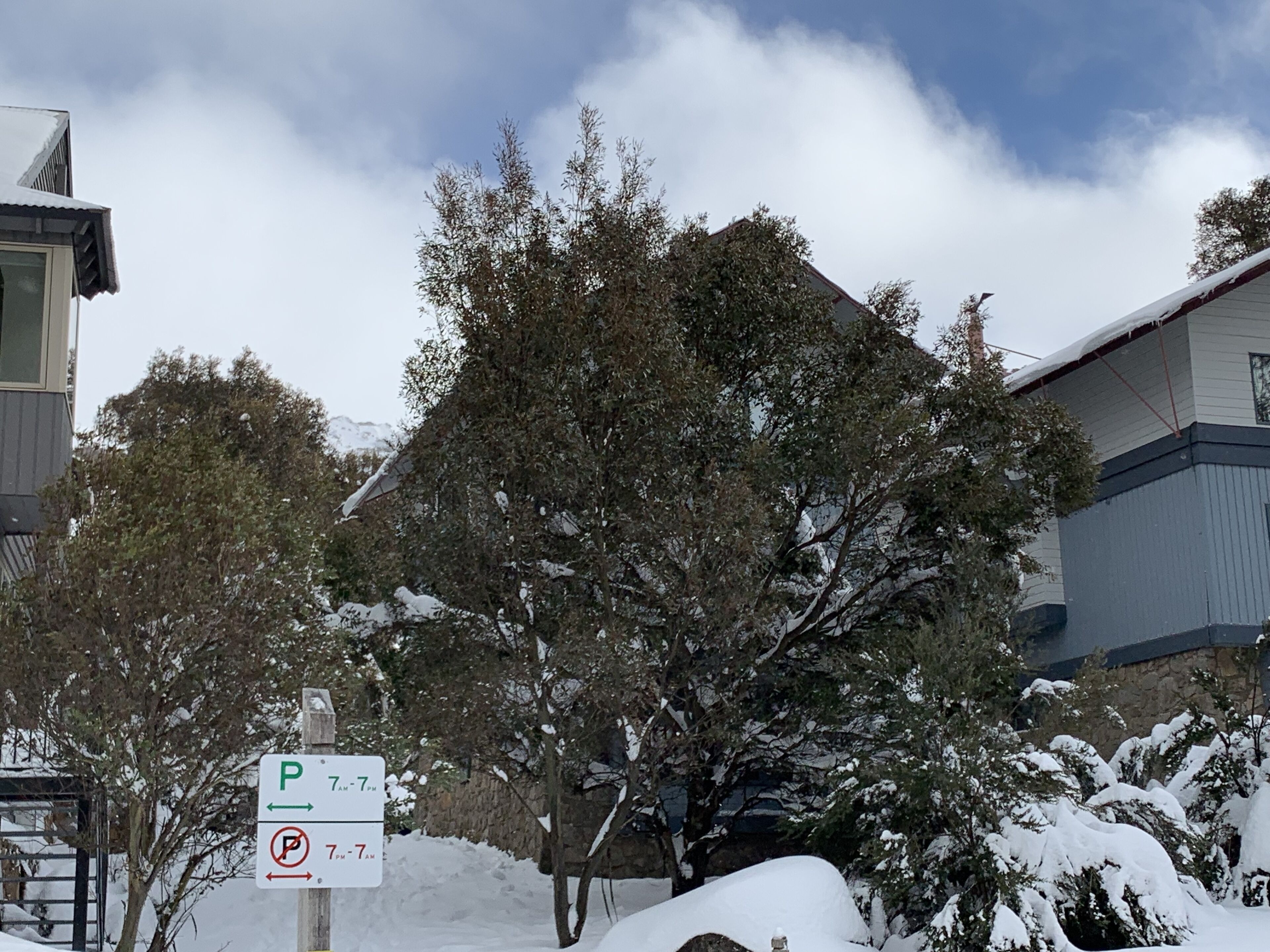Talgara 3 Ski Chalet Thredbo — image 16