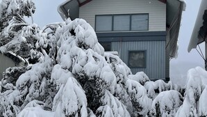 A snow-covered landscape with a house in the background.