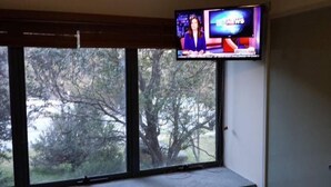 A room with a large window, a flat-screen TV mounted on the wall, and a view of trees outside.
