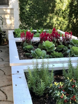 Un jardin avec des plates-bandes surélevées où sont plantées différentes espèces de plantes et de fleurs.