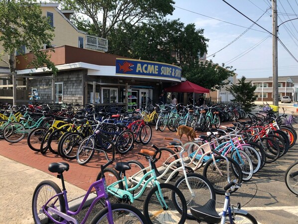 A bike rental station with a variety of bicycles and a dog nearby. - LBI Oceanfront. Beautiful! Views galore. Dine overlooking the dunes. (Beach Haven Crest)