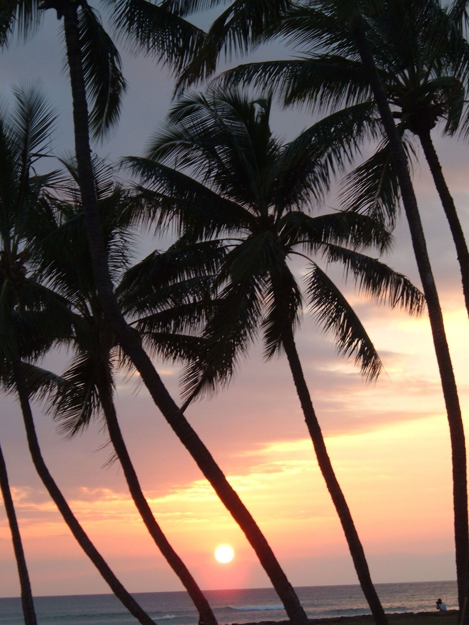 Beach nearby, sun-loungers, beach towels