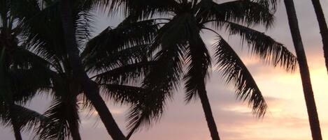 Beach nearby, sun-loungers, beach towels