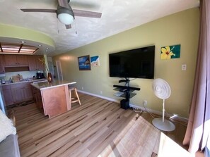 Smart TV, DVD player, books, stereo