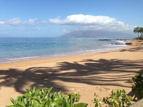 Playa en los alrededores, camastros y toallas de playa 