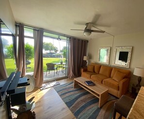 Smart TV, reproductor de DVD, libros y estéreo 