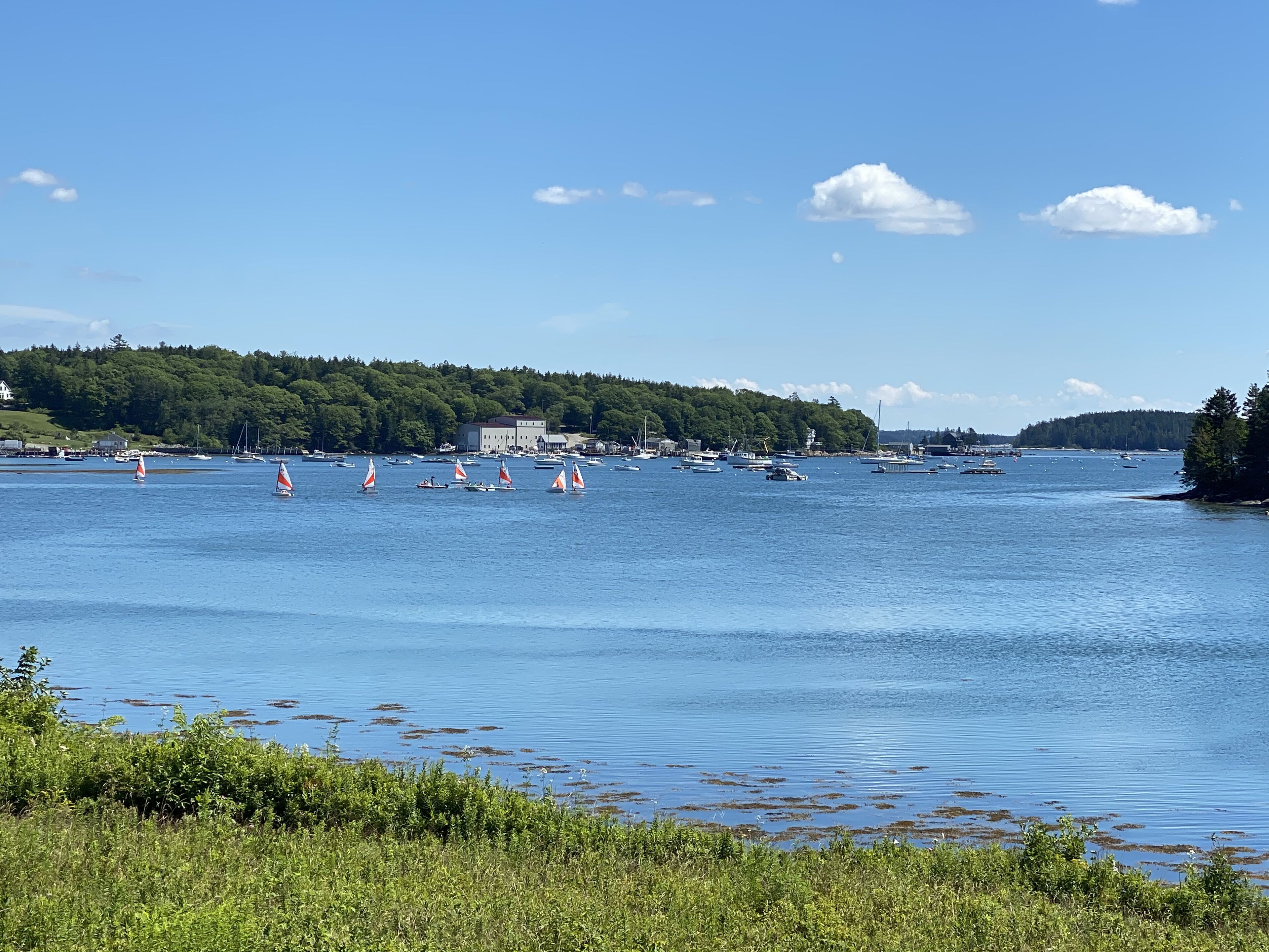 Clark's Cottage On Tenants Harbor