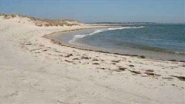 Una platja sorrenca amb ones suaus i un cel serè.