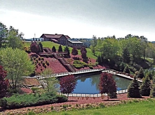 Mountain Getaway Chalet by the New River with Sunset Views and deers to feed