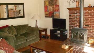 Smart TV, lareira, DVD player, livros