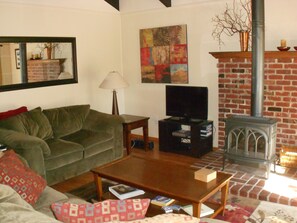Smart TV, fireplace, DVD player, books
