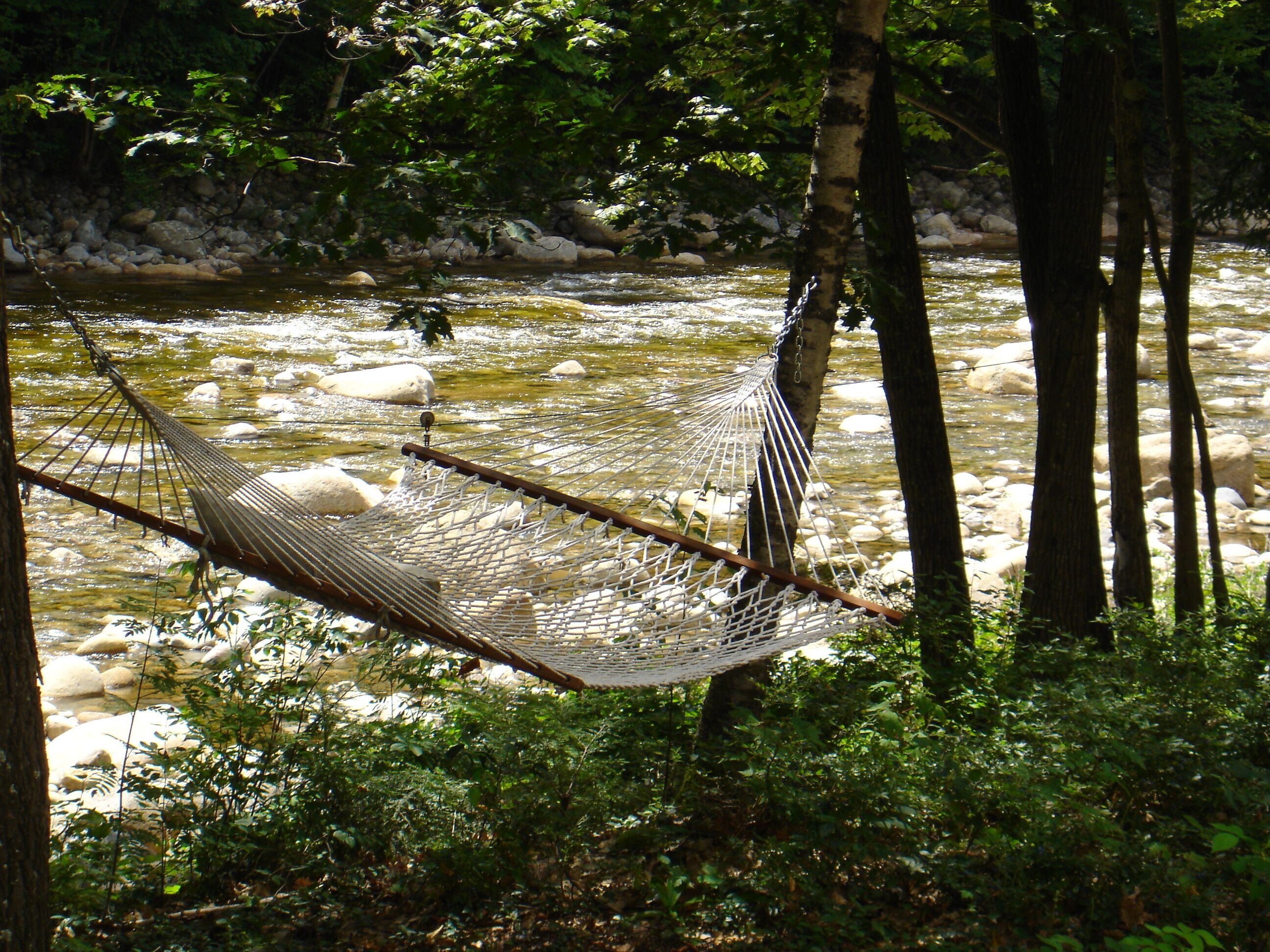 Beautiful 2 Bedroom Condo on the River, close to Mountain and Town!