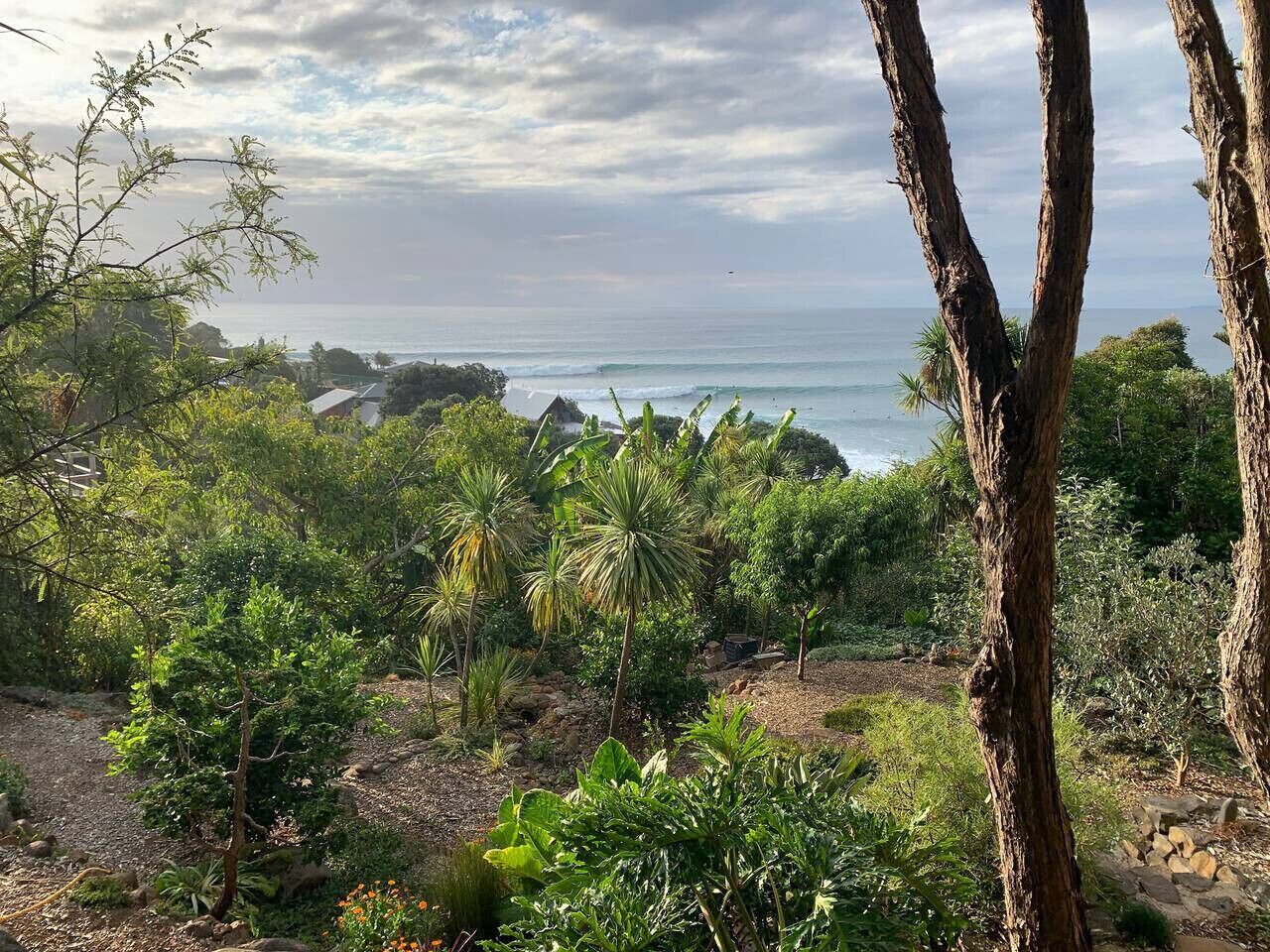 A tropical landscape with dense vegetation, a rocky terrain, and a view of the ocean.