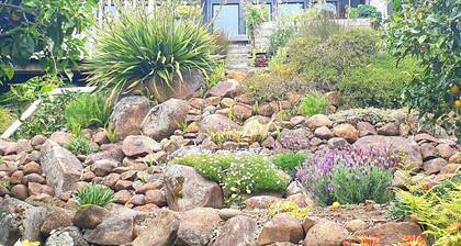 G SPOT lower level WITH SPA