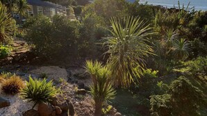 A coastal landscape with a variety of vegetation, including palm trees and shrubs, and a view of the ocean and a distant building. - G SPOT lower level WITH SPA (Raglan)