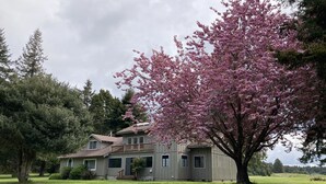 Ein zweistöckiges Haus mit großer Veranda und einem Baum mit rosa Blüten davor.