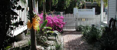 Terrein van de accommodatie