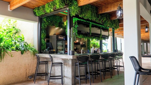 Zona de bar con mostrador de concreto, taburetes negros y plantas colgantes del techo.