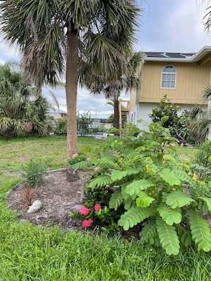 Un quartier résidentiel avec une maison, des palmiers et un jardin où l’on trouve diverses plantes et fleurs.