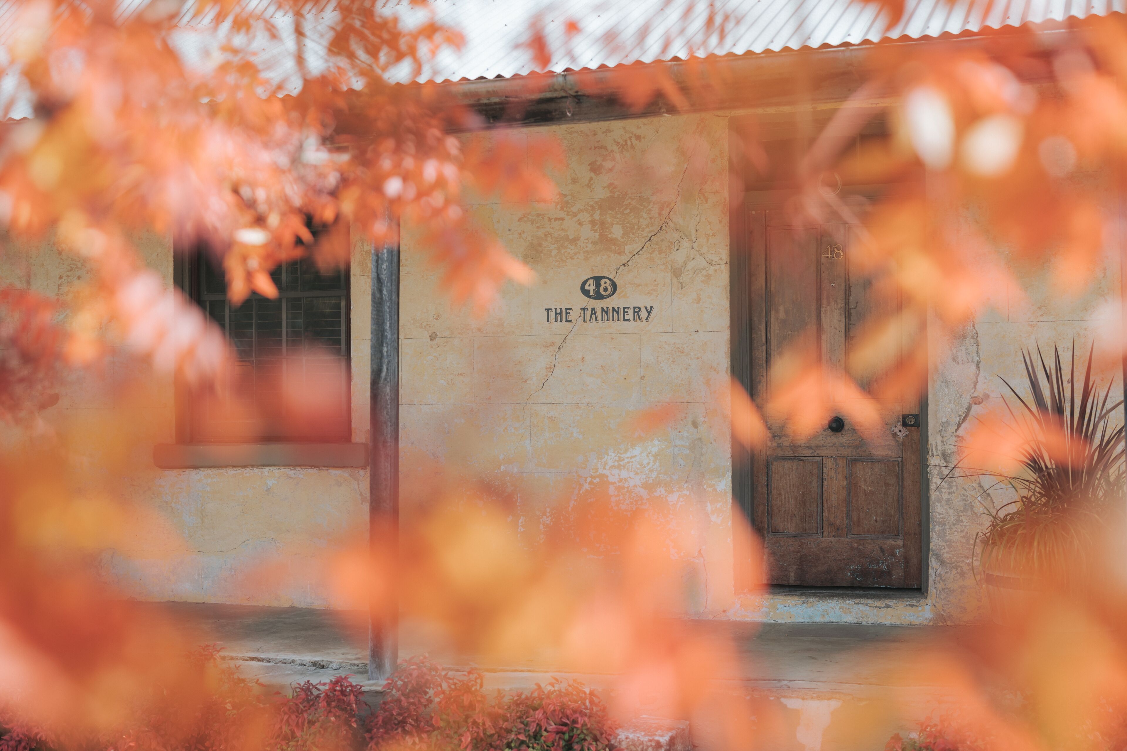 The Tannery Mudgee