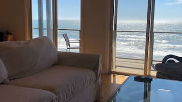 Smart TV, chimenea, reproductor de DVD y libros
