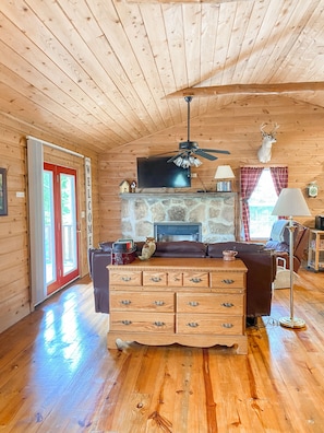 Smart TV, fireplace, DVD player, books