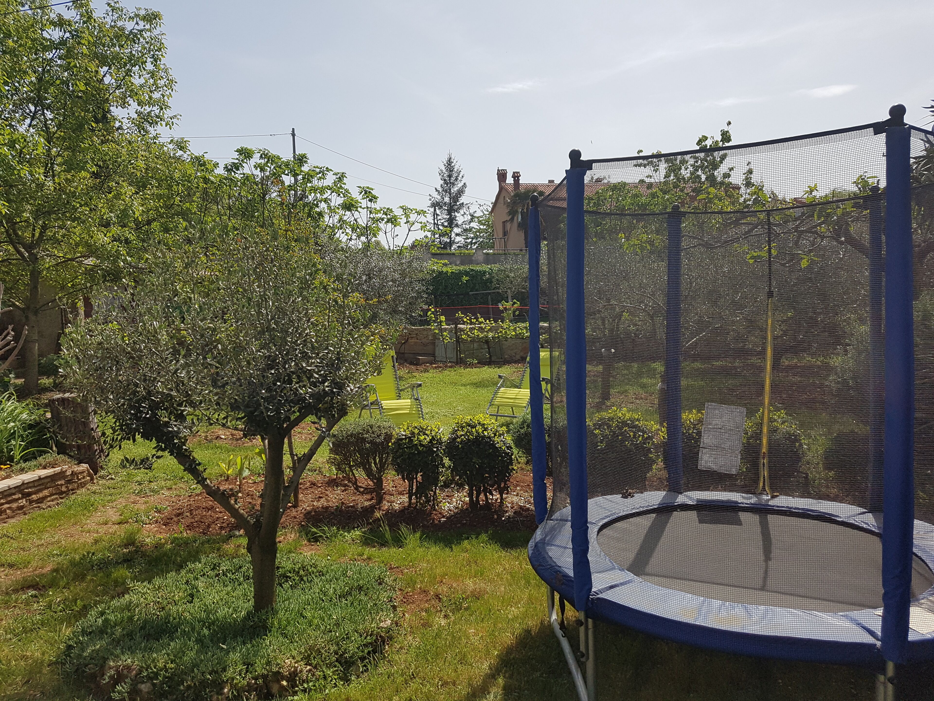 Un jardin avec un trampoline, entouré d’arbres et bordé d’une pelouse.