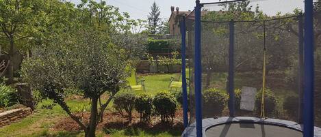 Un jardin avec un trampoline, entouré d’arbres et bordé d’une pelouse.