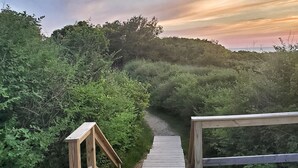En trägång som leder genom ett naturligt landskap med tät vegetation och en klar himmel.