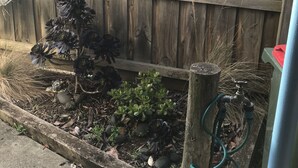 Een houten hek met een 'BEACH' bord, een kleine tuin met verschillende planten en een buitenkraan.