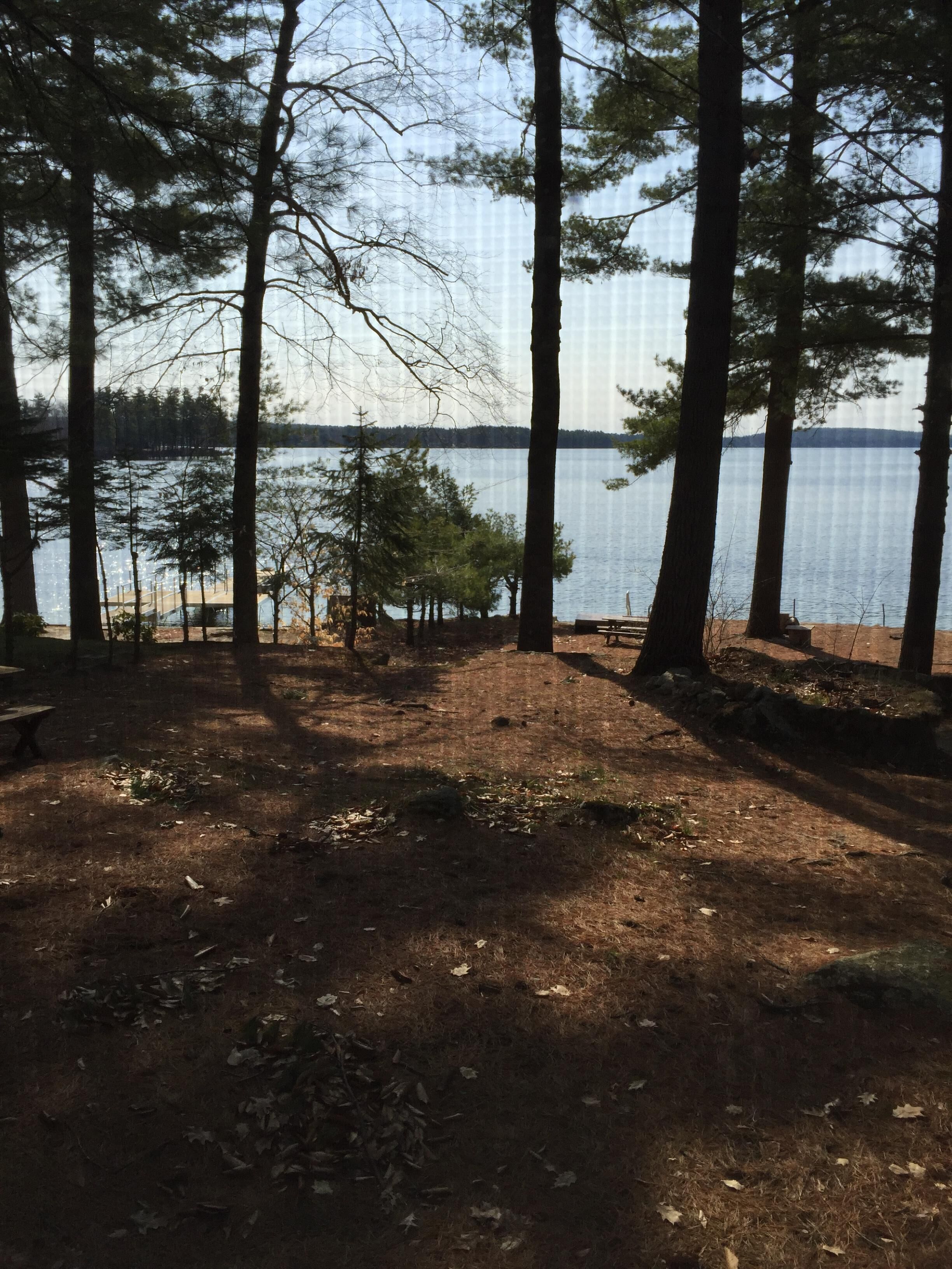A campsite with a view of a lake, surrounded by tall trees.