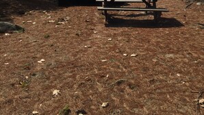 A picnic table and bench by a lake with a view of the water and trees. - a rustic log cabin (Raymond)