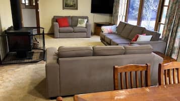 Smart TV, fireplace, DVD player, video library