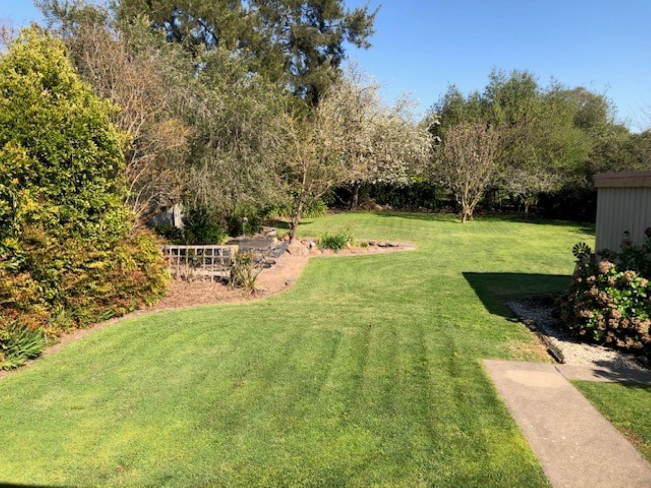 A well-maintained backyard with a lawn, a wooden deck, and a shed.