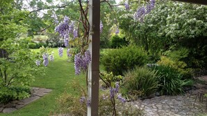 A garden with a pergola covered in purple flowers, a grassy lawn, and various shrubs. - Mansfield House - Country Holiday Accommodation, Sleeps 10, up to 15 (Mansfield)