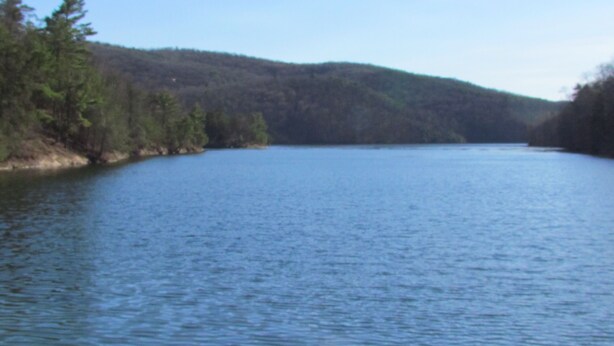 Um lago calmo rodeado por floresta densa e colinas.
