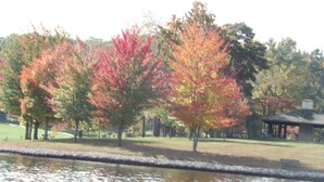 Um parque com árvores exibindo folhagem de outono, um lago e um coreto.
