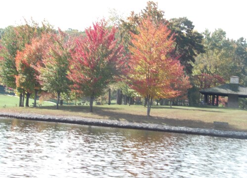 Andrus Cottage located 3/10s of a mile from a beautiful cove on Raystown Lake.