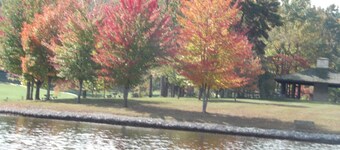 Andrus Cottage located 3/10s of a mile from a beautiful cove on Raystown Lake.